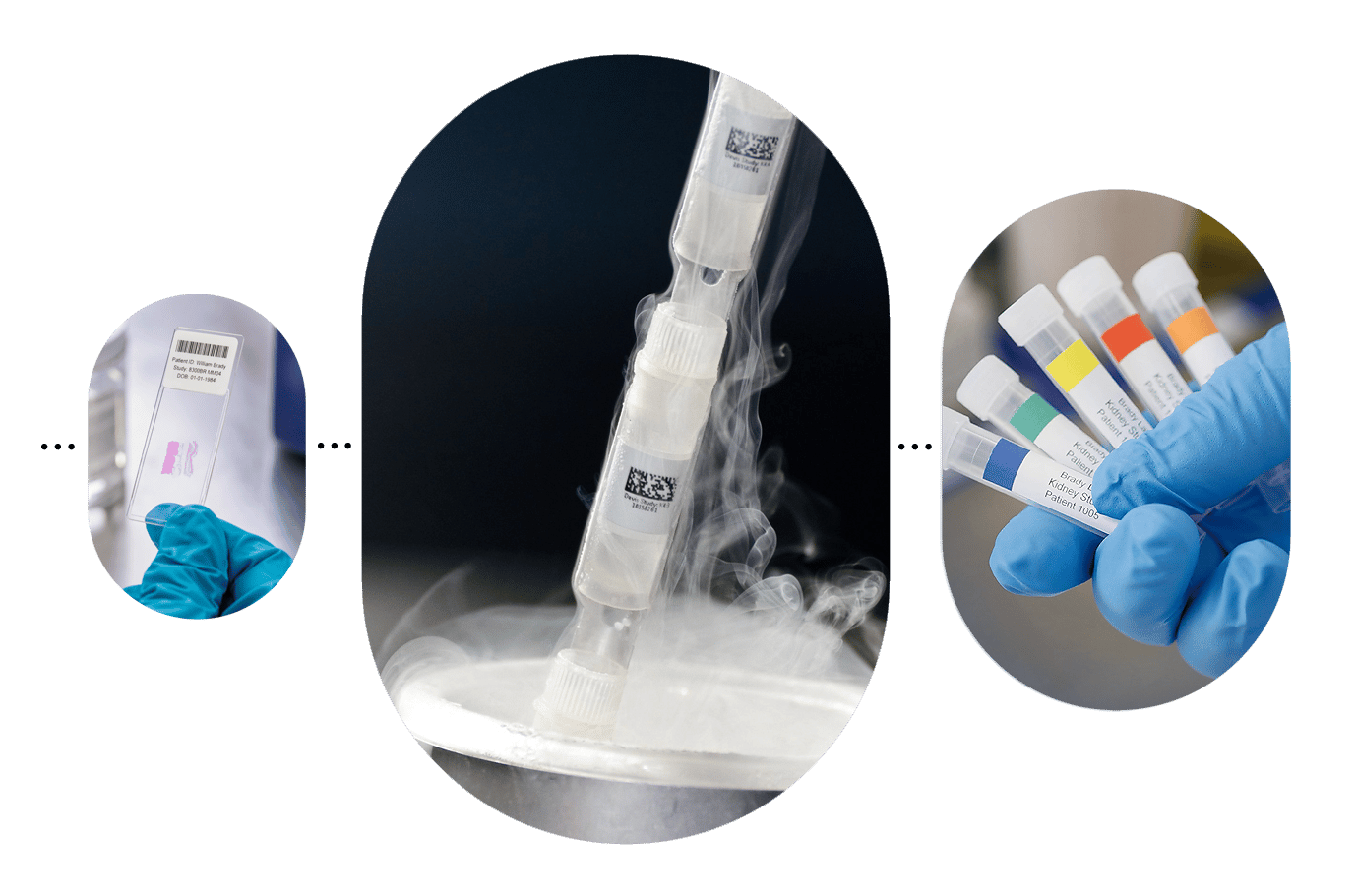 three examples of lab applications for Brady labels