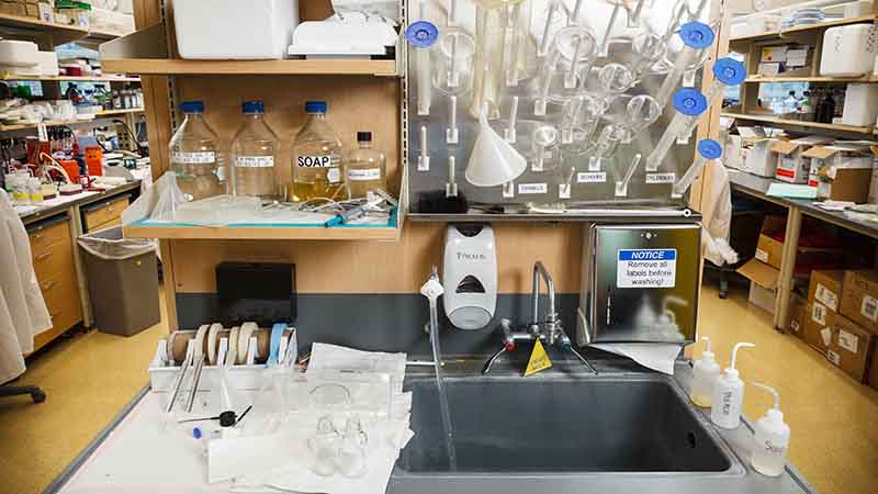 Beakers and lab equipment near a sink, test tubes drying. 