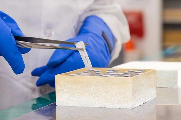 Lab technician handling cryogenic vials, labeled with Brady Freezerbondz labels.