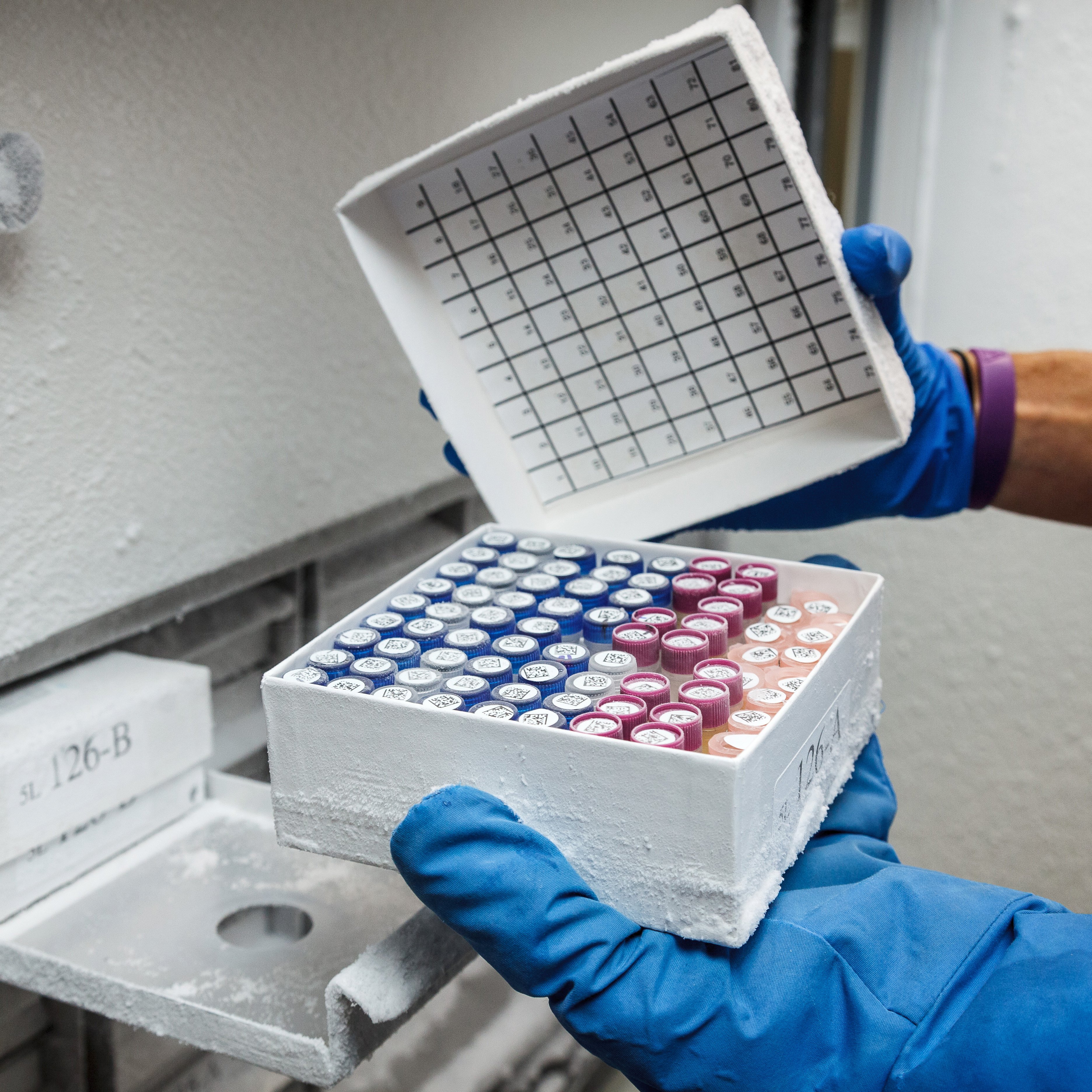 Lab technician holding a set of vials in a cryo lab.