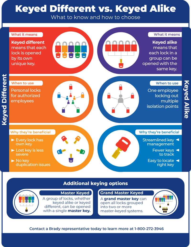 A keyed different versus keyed alike padlocks infographic with information on what to know and how to choose.