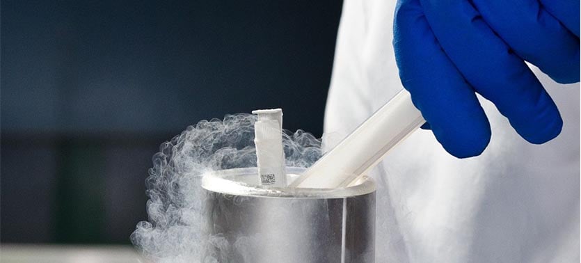 Worker submerging a vial in a cryogenic container.