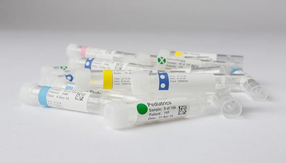 Various lab vials that are labeled.