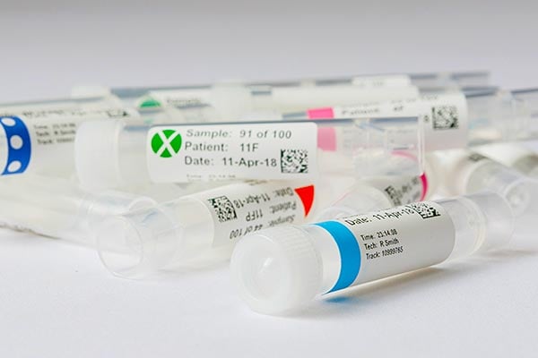 Closeup of labeled lab vials. 