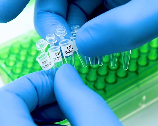 Closeup of a gloved hand holding tiny labeled laboratory vials.