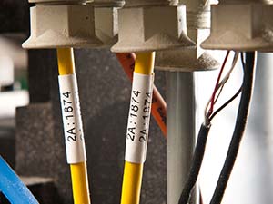 Closeup image of labeled electrical wires connected to terminals.