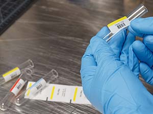Closeup of gloved hand affixing labels to lab vials.