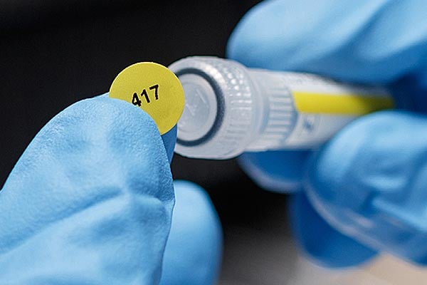 Closeup of a gloved hand applying a yellow label to a lab vial.