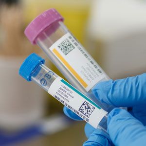 Closeup of a gloved hand holding lab vials with color coded labels.