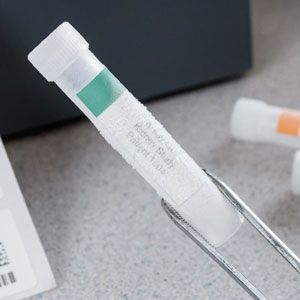 Closeup of a cryogenic vial with green color labels.