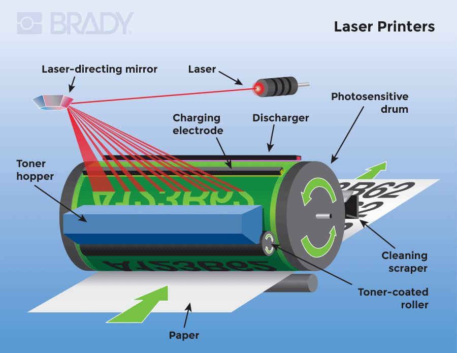 Visual diagram of the inside of a laser printer.