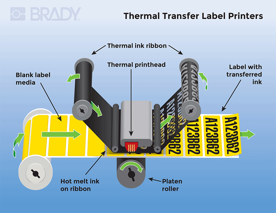 Visual diagram of a thermal transfer laser printer.