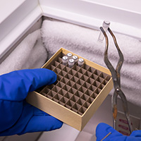 A worker removes a small vial from a freezer.