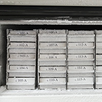 Freezer shelves containing neatly labeled samples.