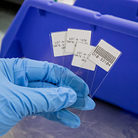 Microscope slides with labels.