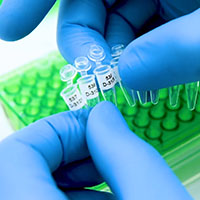 Small PCR tubes are labeled.