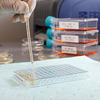 A worker uses an eyedropper on a well plate.