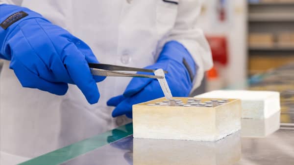 Close-up of a laboratory technician wearing blue gloves carefully places a small frozen sample into a chilled, insulated box filled with other samples.