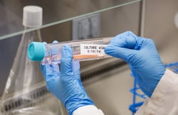 Gloved hands apply a label to a large test tube.