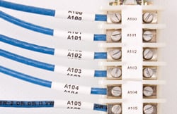 Closeup of a row of labeled cables.