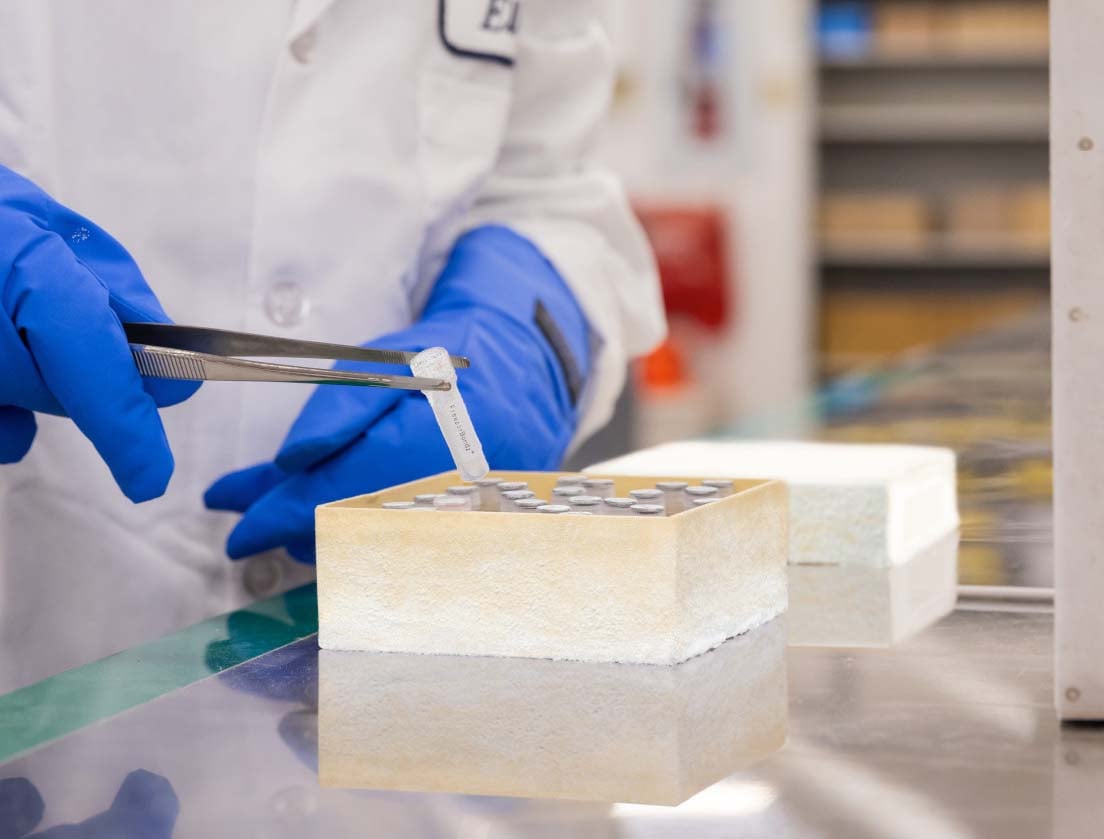 Gloved person handeling vials in a lab